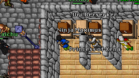 Ninja Maximus on screen
