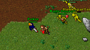 Pokie on screen