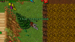 Thar Netherwind on screen
