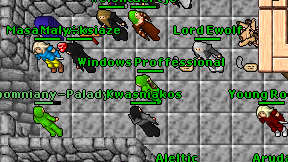 Windows Proffessional on screen
