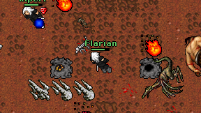 Flarian on screen