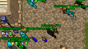 Minino Fly on screen