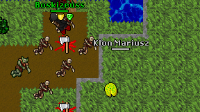 Klon Mariusz on screen