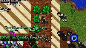 Satao on screen