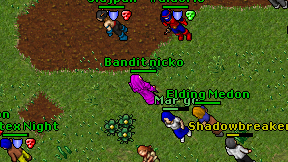 Bandit nicko on screen