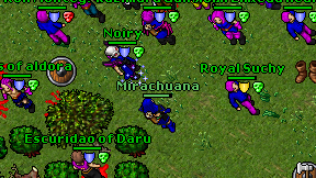 Mirachuana on screen