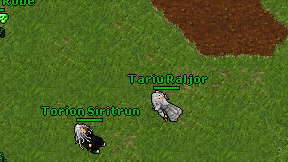Torion Siritrun on screen