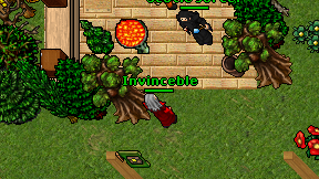 Invinceble on screen