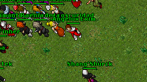 Angelux Exim on screen