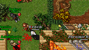 Redzik on screen