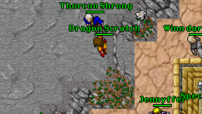 Dragon Scratch on screen