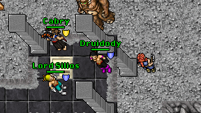 Druidody on screen