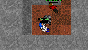 Pulok on screen