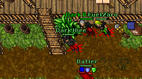 Dark Hire on screen