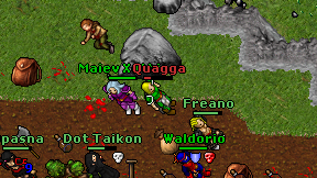 Quagga on screen