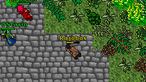 Rajobos on screen