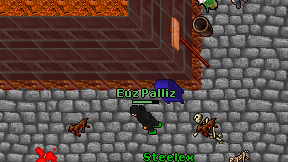 Euz Palliz on screen