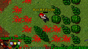 Boi Atitude on screen