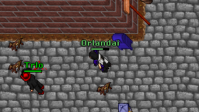Orlandai on screen
