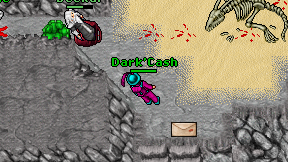 Dark'Cash on screen