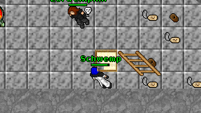 Schwemp on screen