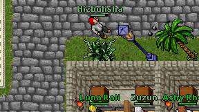 Hizbulisha on screen