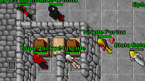 Muscule on screen