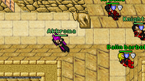 Akkroma on screen