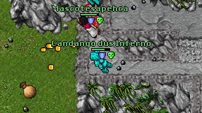 Candango dus Inferno on screen