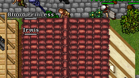 Irwis on screen