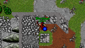 Birolao on screen