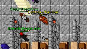 Lethal-Warrior on screen