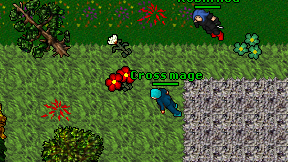 Cross mage on screen
