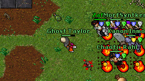 Ghost Taylor on screen