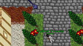 Malker Tramin on screen