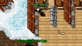 Sir'Hood on screen