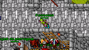 Fenusion on screen