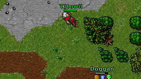 Titowii on screen