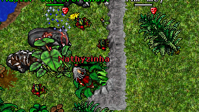 Nathyzinha on screen