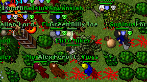 Elite Miker on screen