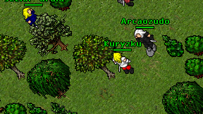 Kuryzku on screen
