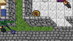 Forester Druid on screen