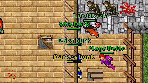 Dara burk on screen