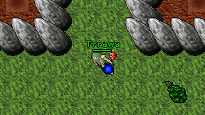 Trrawa on screen