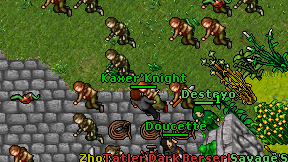 Kaxer'Knight on screen