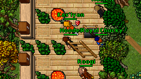 Hoodel on screen