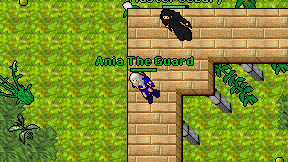 Ania The Guard on screen