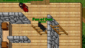 Fox of Dox on screen