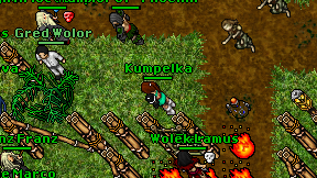Kumpelka on screen