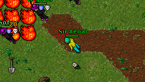 Sir Xenal on screen